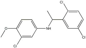 3-chloro-N-[1-(2,5-dichlorophenyl)ethyl]-4-methoxyaniline Struktur