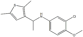 3-chloro-N-[1-(2,5-dimethylthiophen-3-yl)ethyl]-4-methoxyaniline Struktur