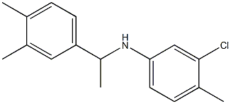 3-chloro-N-[1-(3,4-dimethylphenyl)ethyl]-4-methylaniline Struktur