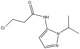 3-chloro-N-[1-(propan-2-yl)-1H-pyrazol-5-yl]propanamide Struktur