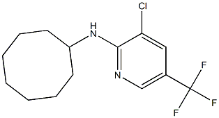 3-chloro-N-cyclooctyl-5-(trifluoromethyl)pyridin-2-amine Struktur