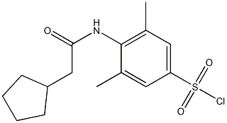 4-(2-cyclopentylacetamido)-3,5-dimethylbenzene-1-sulfonyl chloride Struktur