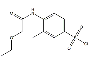 4-(2-ethoxyacetamido)-3,5-dimethylbenzene-1-sulfonyl chloride Struktur