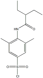 4-(2-ethylbutanamido)-3,5-dimethylbenzene-1-sulfonyl chloride Struktur