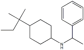 4-(2-methylbutan-2-yl)-N-(1-phenylethyl)cyclohexan-1-amine Struktur