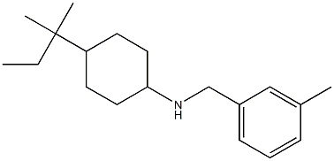 4-(2-methylbutan-2-yl)-N-[(3-methylphenyl)methyl]cyclohexan-1-amine Struktur