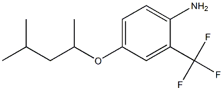 4-[(4-methylpentan-2-yl)oxy]-2-(trifluoromethyl)aniline Struktur