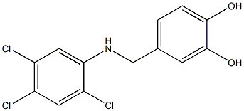 4-{[(2,4,5-trichlorophenyl)amino]methyl}benzene-1,2-diol Struktur