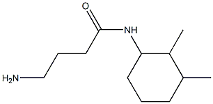 4-amino-N-(2,3-dimethylcyclohexyl)butanamide Struktur