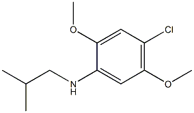 4-chloro-2,5-dimethoxy-N-(2-methylpropyl)aniline Struktur