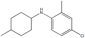 4-chloro-2-methyl-N-(4-methylcyclohexyl)aniline Struktur