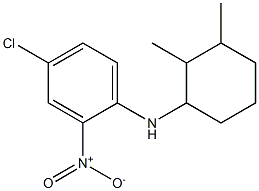 4-chloro-N-(2,3-dimethylcyclohexyl)-2-nitroaniline Struktur