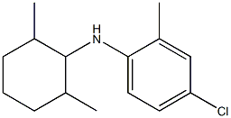 4-chloro-N-(2,6-dimethylcyclohexyl)-2-methylaniline Struktur