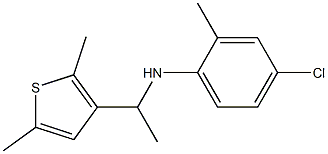 4-chloro-N-[1-(2,5-dimethylthiophen-3-yl)ethyl]-2-methylaniline Struktur