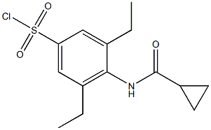 4-cyclopropaneamido-3,5-diethylbenzene-1-sulfonyl chloride Struktur