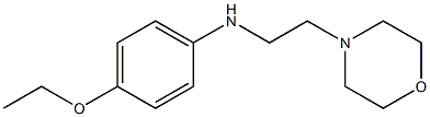 4-ethoxy-N-[2-(morpholin-4-yl)ethyl]aniline Struktur