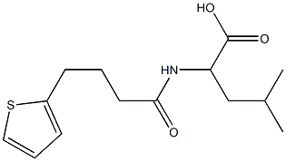 4-methyl-2-[4-(thiophen-2-yl)butanamido]pentanoic acid Struktur