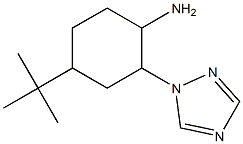 4-tert-butyl-2-(1H-1,2,4-triazol-1-yl)cyclohexanamine Struktur