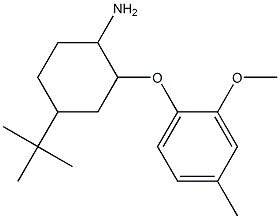 4-tert-butyl-2-(2-methoxy-4-methylphenoxy)cyclohexan-1-amine Struktur