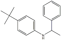 4-tert-butyl-N-(1-phenylethyl)aniline Struktur