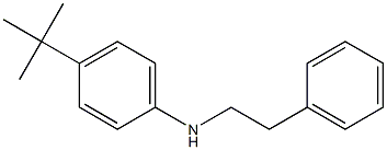 4-tert-butyl-N-(2-phenylethyl)aniline Struktur