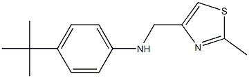 4-tert-butyl-N-[(2-methyl-1,3-thiazol-4-yl)methyl]aniline Struktur