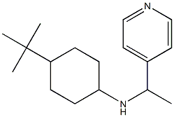 4-tert-butyl-N-[1-(pyridin-4-yl)ethyl]cyclohexan-1-amine Struktur