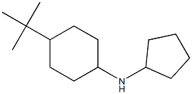 4-tert-butyl-N-cyclopentylcyclohexan-1-amine Struktur