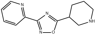 5-(piperidin-3-yl)-3-(pyridin-2-yl)-1,2,4-oxadiazole Struktur