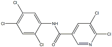 5,6-dichloro-N-(2,4,5-trichlorophenyl)pyridine-3-carboxamide Struktur