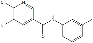 5,6-dichloro-N-(3-methylphenyl)pyridine-3-carboxamide Struktur