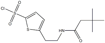 5-[2-(3,3-dimethylbutanamido)ethyl]thiophene-2-sulfonyl chloride Struktur