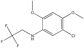 5-chloro-2,4-dimethoxy-N-(2,2,2-trifluoroethyl)aniline Struktur