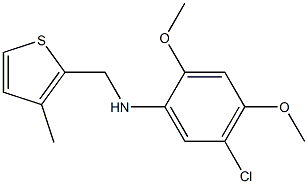 5-chloro-2,4-dimethoxy-N-[(3-methylthiophen-2-yl)methyl]aniline Struktur