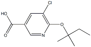 5-chloro-6-[(2-methylbutan-2-yl)oxy]pyridine-3-carboxylic acid Struktur