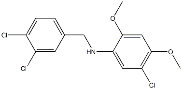 5-chloro-N-[(3,4-dichlorophenyl)methyl]-2,4-dimethoxyaniline Struktur