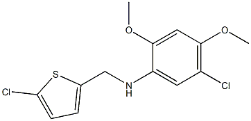 5-chloro-N-[(5-chlorothiophen-2-yl)methyl]-2,4-dimethoxyaniline Struktur