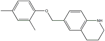 6-(2,4-dimethylphenoxymethyl)-1,2,3,4-tetrahydroquinoline Struktur