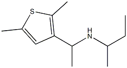 butan-2-yl[1-(2,5-dimethylthiophen-3-yl)ethyl]amine Struktur