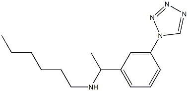 hexyl({1-[3-(1H-1,2,3,4-tetrazol-1-yl)phenyl]ethyl})amine Struktur