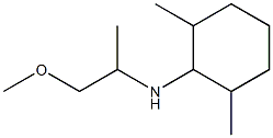 N-(1-methoxypropan-2-yl)-2,6-dimethylcyclohexan-1-amine Struktur