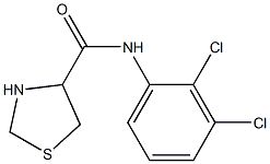 N-(2,3-dichlorophenyl)-1,3-thiazolidine-4-carboxamide Struktur