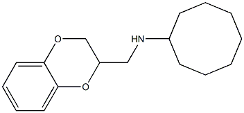 N-(2,3-dihydro-1,4-benzodioxin-2-ylmethyl)cyclooctanamine Struktur