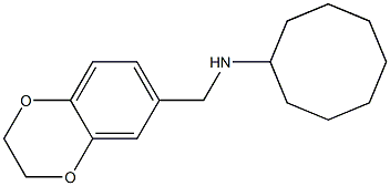 N-(2,3-dihydro-1,4-benzodioxin-6-ylmethyl)cyclooctanamine Struktur