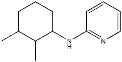 N-(2,3-dimethylcyclohexyl)pyridin-2-amine Struktur