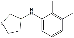 N-(2,3-dimethylphenyl)thiolan-3-amine Struktur