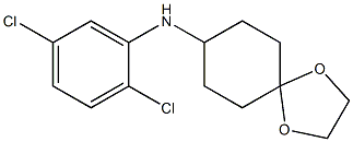 N-(2,5-dichlorophenyl)-1,4-dioxaspiro[4.5]decan-8-amine Struktur