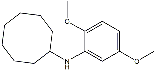 N-(2,5-dimethoxyphenyl)cyclooctanamine Struktur