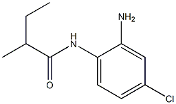 N-(2-amino-4-chlorophenyl)-2-methylbutanamide Struktur