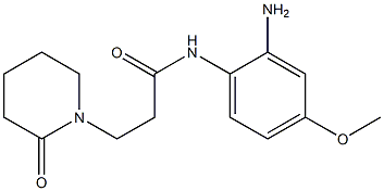 N-(2-amino-4-methoxyphenyl)-3-(2-oxopiperidin-1-yl)propanamide Struktur